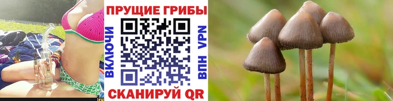 сайты даркнета официальный сайт  Спасск  Галлюциногенные грибы ЛСД  купить закладку  ссылка на мегу вход 